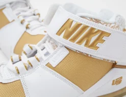 Nike Zoom LeBron II QS -Pied Chic Soldes Magasin sz 628793 e scaled