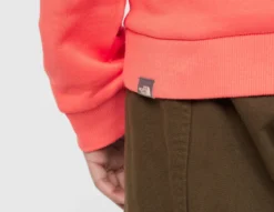 The North Face Sweat à Capuche Fine Alpine -Pied Chic Soldes Magasin sz 629193 f scaled