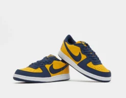 Nike Terminator Low -Pied Chic Soldes Magasin sz 645745 b scaled