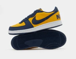 Nike Terminator Low -Pied Chic Soldes Magasin sz 645745 c scaled