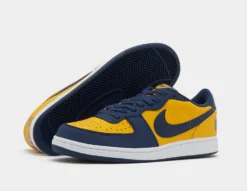 Nike Terminator Low -Pied Chic Soldes Magasin sz 645745 d scaled