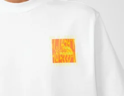 The North Face T-Shirt Graphique -Pied Chic Soldes Magasin sz 659895 e scaled